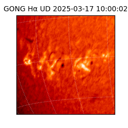 gong - 2025-03-17T10:00:02