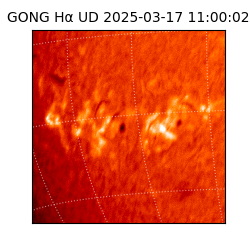 gong - 2025-03-17T11:00:02