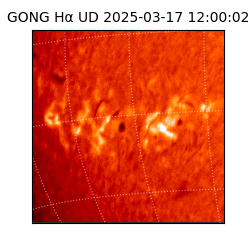 gong - 2025-03-17T12:00:02