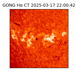 gong - 2025-03-17T22:00:42