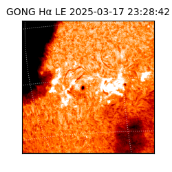 gong - 2025-03-17T23:28:42