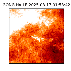 gong - 2025-03-17T01:53:42