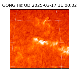 gong - 2025-03-17T11:00:02