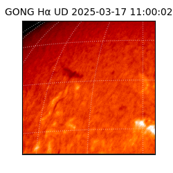 gong - 2025-03-17T11:00:02