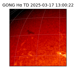 gong - 2025-03-17T13:00:22