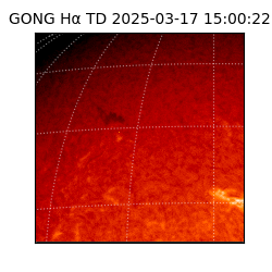 gong - 2025-03-17T15:00:22