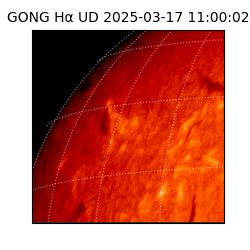 gong - 2025-03-17T11:00:02