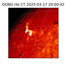 gong - 2025-03-17T20:00:42