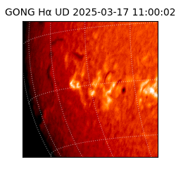 gong - 2025-03-17T11:00:02