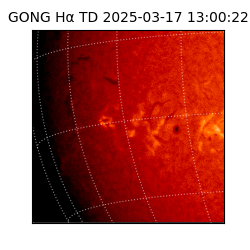 gong - 2025-03-17T13:00:22