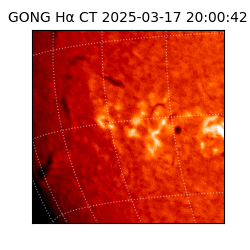 gong - 2025-03-17T20:00:42
