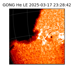 gong - 2025-03-17T23:28:42