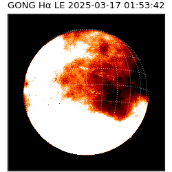 gong - 2025-03-17T01:53:42