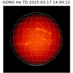gong - 2025-03-17T14:00:22