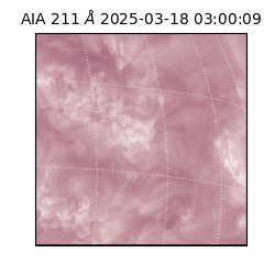 saia - 2025-03-18T03:00:09.629000