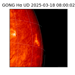 gong - 2025-03-18T08:00:02