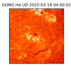 gong - 2025-03-18T04:00:02