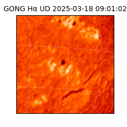 gong - 2025-03-18T09:01:02