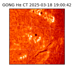 gong - 2025-03-18T19:00:42