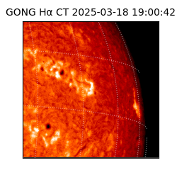 gong - 2025-03-18T19:00:42