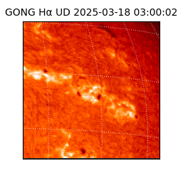 gong - 2025-03-18T03:00:02