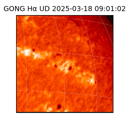 gong - 2025-03-18T09:01:02