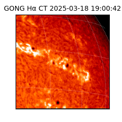 gong - 2025-03-18T19:00:42