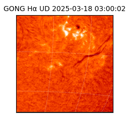 gong - 2025-03-18T03:00:02