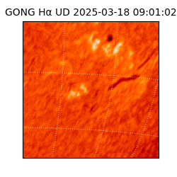 gong - 2025-03-18T09:01:02