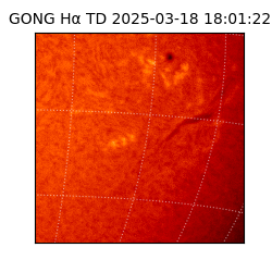 gong - 2025-03-18T18:01:22