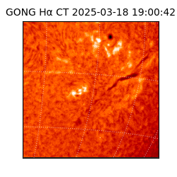 gong - 2025-03-18T19:00:42