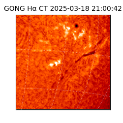 gong - 2025-03-18T21:00:42