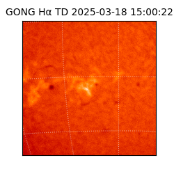 gong - 2025-03-18T15:00:22