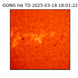 gong - 2025-03-18T18:01:22