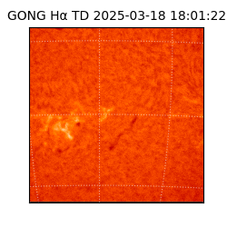 gong - 2025-03-18T18:01:22