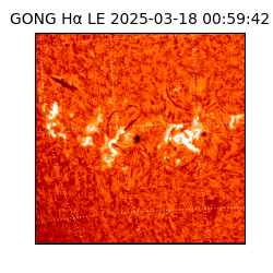 gong - 2025-03-18T00:59:42