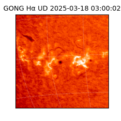 gong - 2025-03-18T03:00:02