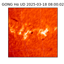 gong - 2025-03-18T08:00:02