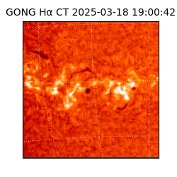gong - 2025-03-18T19:00:42