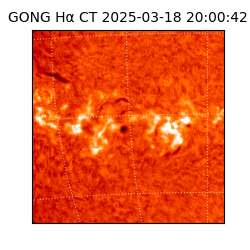 gong - 2025-03-18T20:00:42