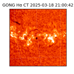 gong - 2025-03-18T21:00:42