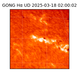 gong - 2025-03-18T02:00:02