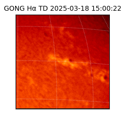 gong - 2025-03-18T15:00:22