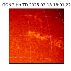 gong - 2025-03-18T18:01:22