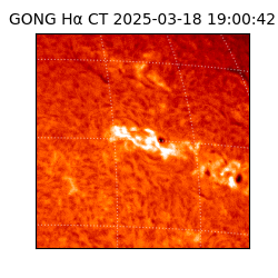 gong - 2025-03-18T19:00:42