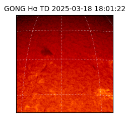 gong - 2025-03-18T18:01:22