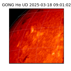 gong - 2025-03-18T09:01:02