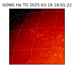 gong - 2025-03-18T18:01:22