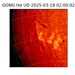 gong - 2025-03-18T02:00:02