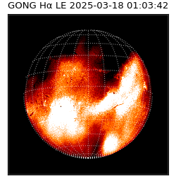gong - 2025-03-18T01:03:42